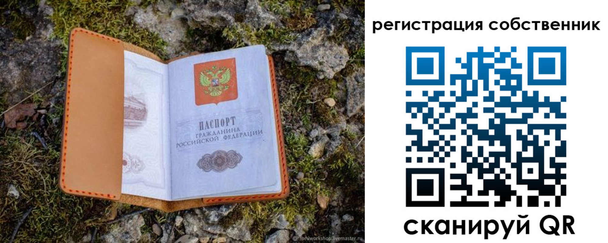 прописка поиск в Новомосковске